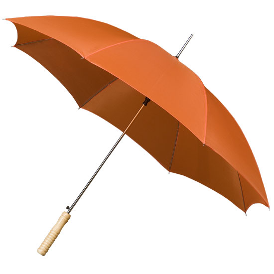 Wooden handle umbrella