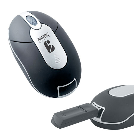 Wireless storage mouse